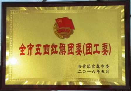 仁和集團團委榮膺宜春市“五四紅旗團委”
