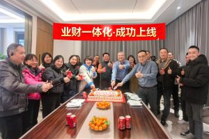 仁和業(yè)財一體化系統(tǒng)成功上線